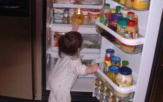 Хранение продуктов в холодильнике — что искать