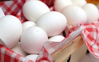 Яйца от кур, перепелов, уток и других — что они характеризуют и сколько стоят