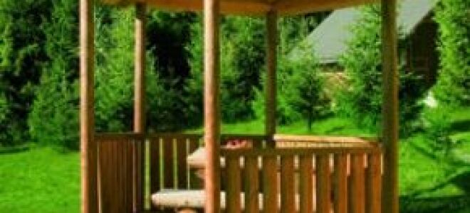 Крыши заднего двора