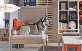 Праздники с ИКЕА — новая мебель и аксессуары уже в ассортименте магазина (ФОТО)