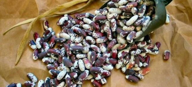 Инь-ян на кухне или макробиотическая диета