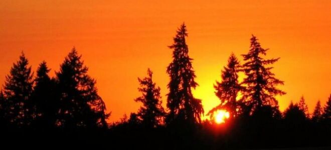 Полюс разработал революционный метод отопления домов с солнечной энергией