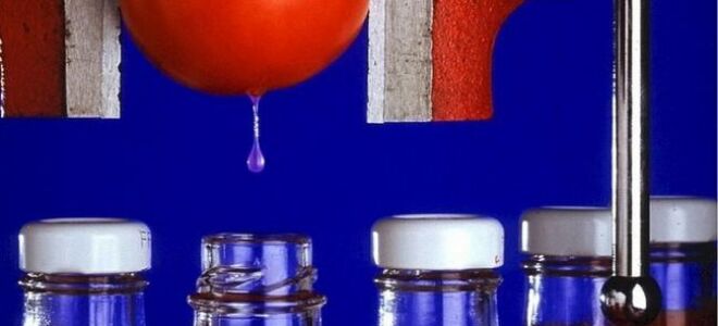 Необычные свойства обычного кетчупа