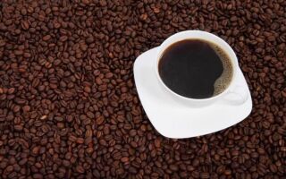 Свойства кофе и преимущества питья кофе