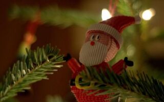Польские рождественские традиции без секретов (ВИДЕО)