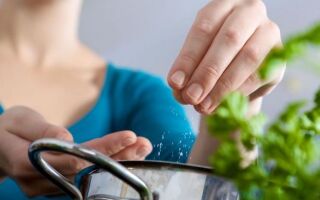 Кухонная соль под микроскопом. Какая ежедневная доза рекомендуется?