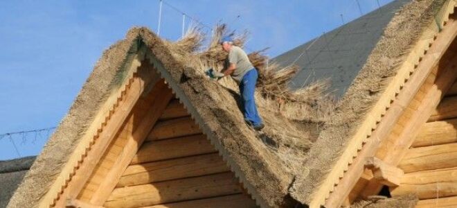 соломенная крыша