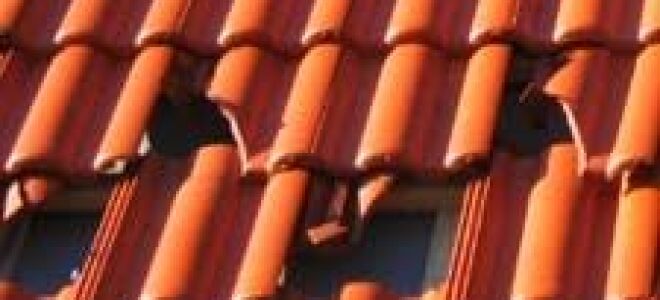 Кто виноват?