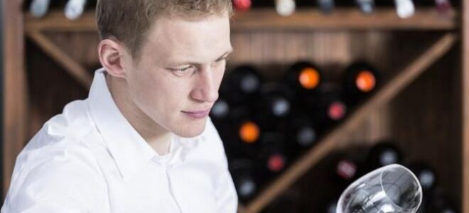 Хорошее вино: как его выбрать. руководство