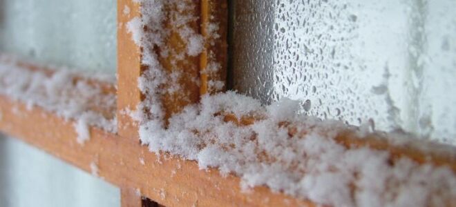 Стиральные окна для праздников. Бабсинский совет по чистым окнам