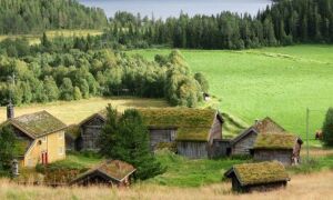 Зеленая крыша без секретов. Типы, слои и строительство зеленых крыш