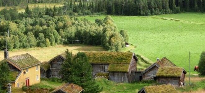 Зеленая крыша без секретов. Типы, слои и строительство зеленых крыш