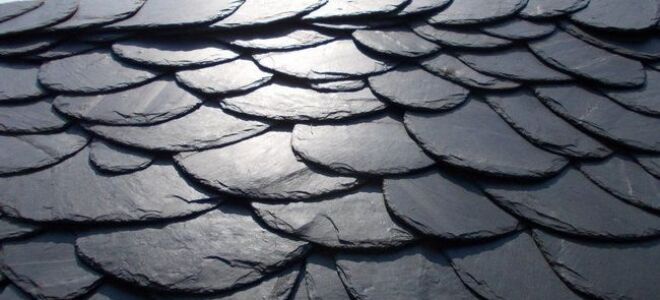 Каменный шифер — дикий покров