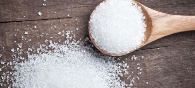 Сахар и соль уменьшают наш иммунитет (ВИДЕО)