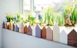 Пасхальный сад на подоконнике — как сделать это самостоятельно