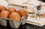 Как распознать свежесть и качество куриных яиц (ВИДЕО)