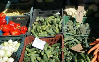 Здоровая кухня и сад: овощи, фрукты, черенки или то, что мы покупаем на рынке