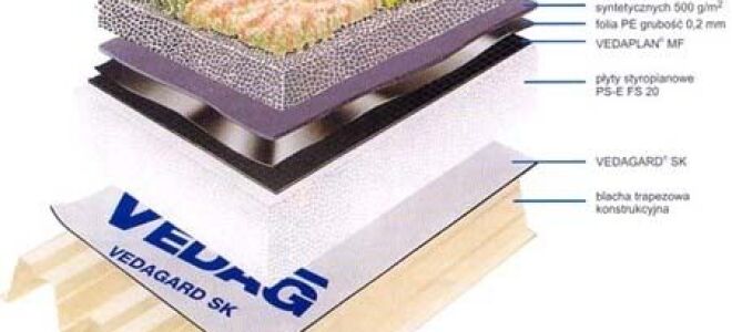 Зеленые крыши