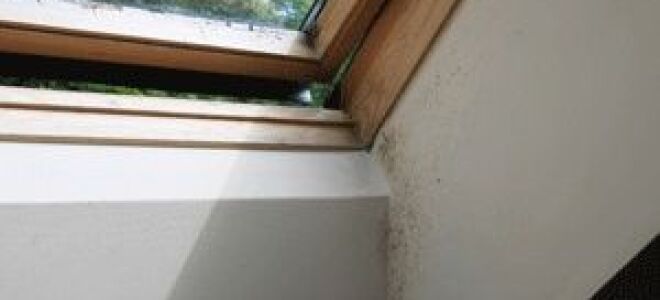 Гриб на крыше