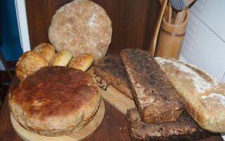 Домашний хлеб из закваски — какие аксессуары понадобятся и как их выбрать. руководство