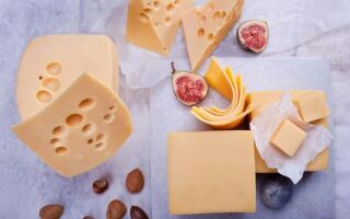 Почему стоит вводить сыр в рацион?