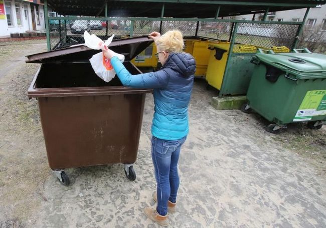 Сегрегация зеленых отходов создает проблемы для многих жителей