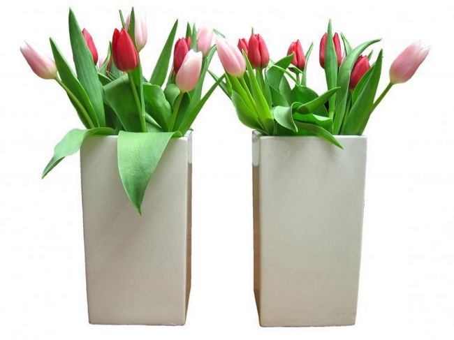Тюльпаны в керамической вазе