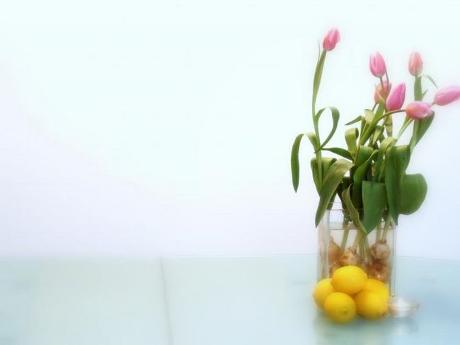 Композиция с тюльпанами в стеклянной вазе