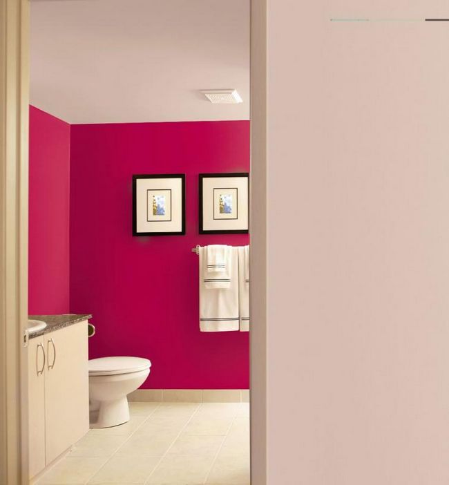Ванная комната со стенами, покрытыми латексной краской. Ванная комната и кухня