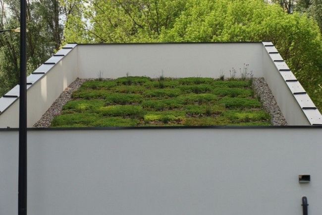 Зеленая крыша над гаражом