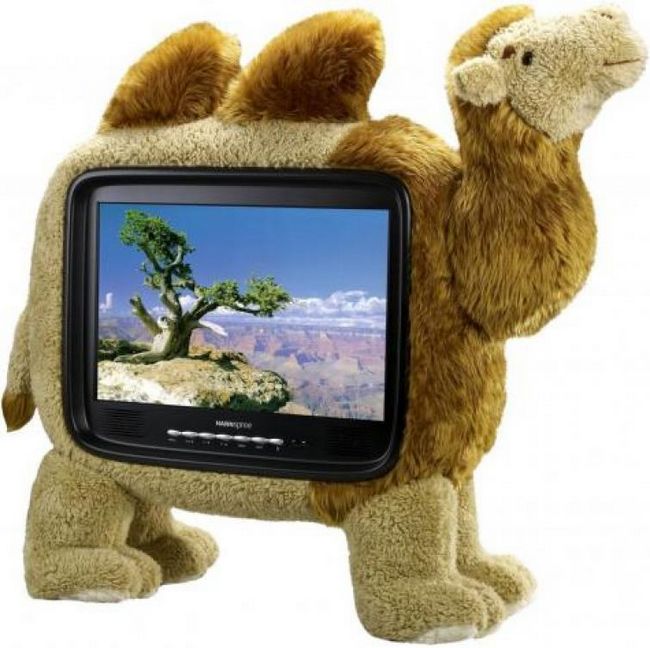 Телевизионный верблюд