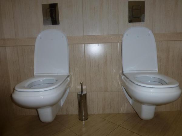 Двухместный туалет