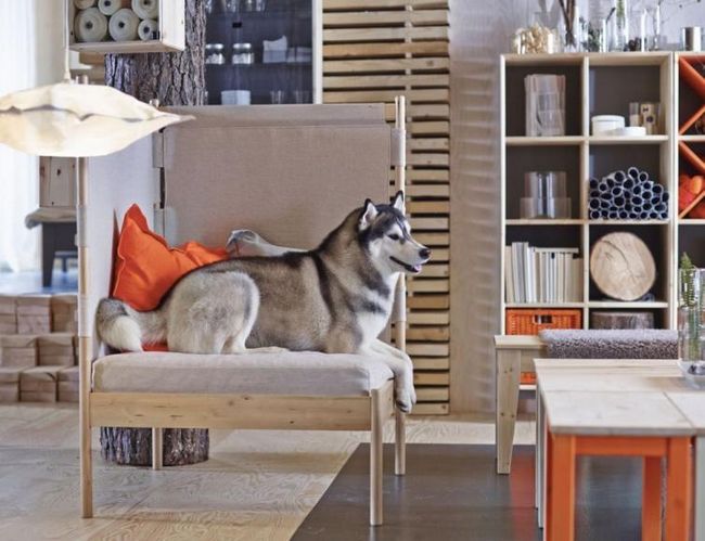 Праздники с ИКЕА - новая мебель и аксессуары уже в ассортименте магазина (ФОТО)