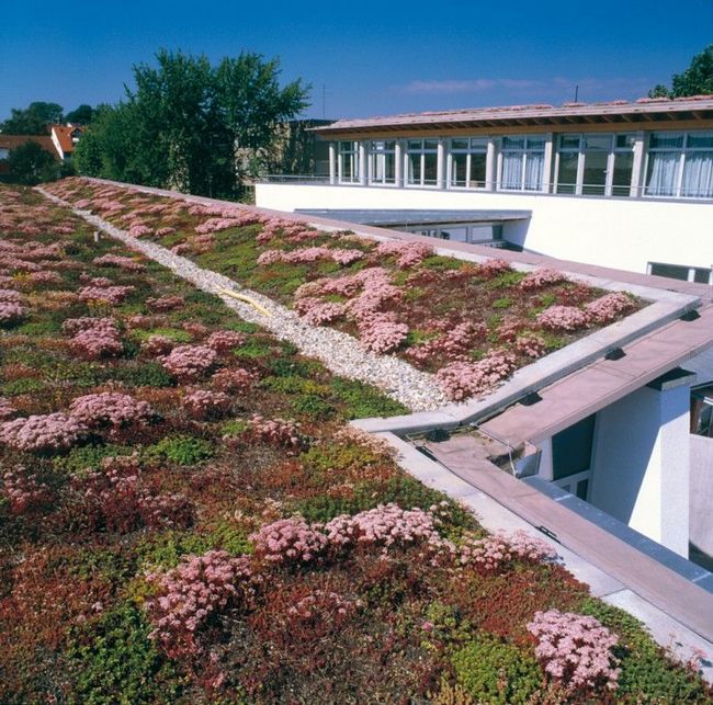 Зеленый крыша