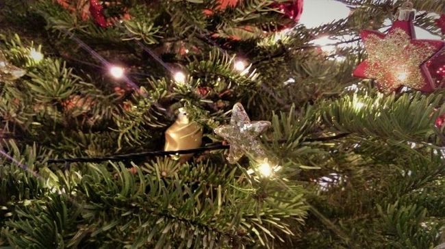 Рождественская елка с традиционными украшениями