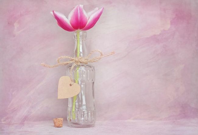 Одинокий тюльпан в декоративной бутылке