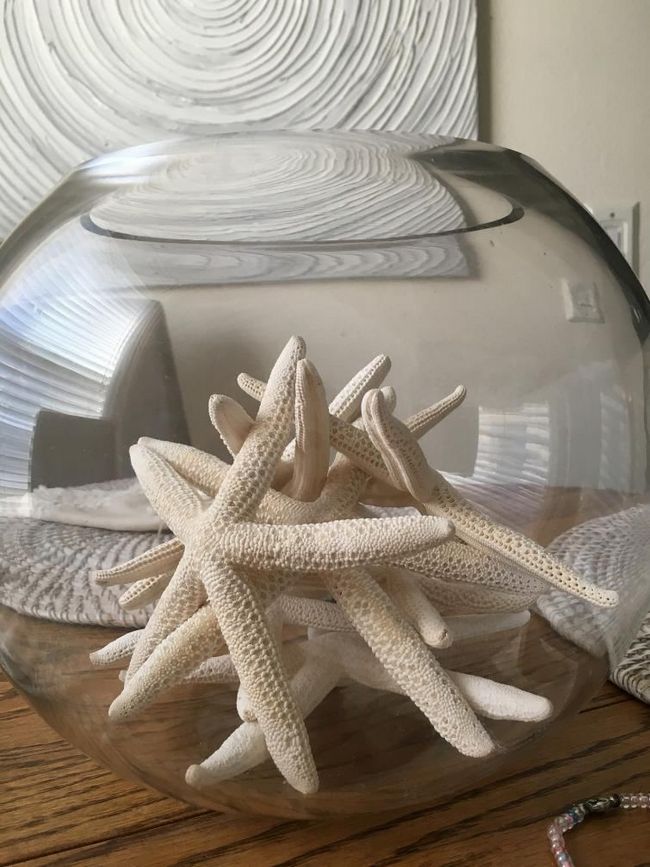 Морская звезда в стеклянной декоративной посуде
