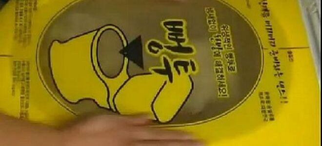 Корейский путь для забитого туалета (ВИДЕО)