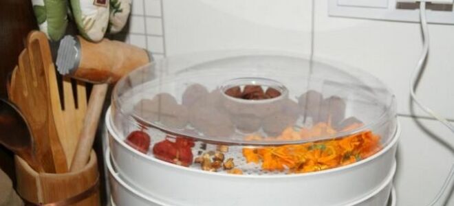 Сушеные фрукты и овощи: в духовке, духовке и на солнце