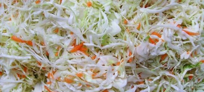 Рецепт приготовления домашней травы капусты, замешанной ногами (ВИДЕО)