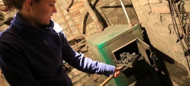 Если и когда кружки наконец исчезнут?