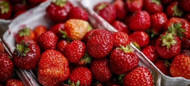 Какие овощи и фрукты являются самыми безопасными и без химических веществ?