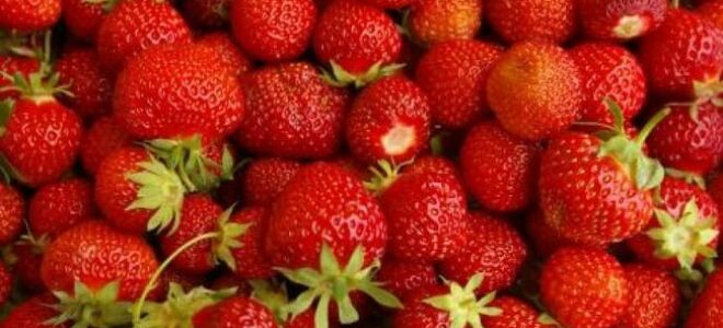 Клубничное весеннее вдохновение (ВИДЕО, ФОТО)