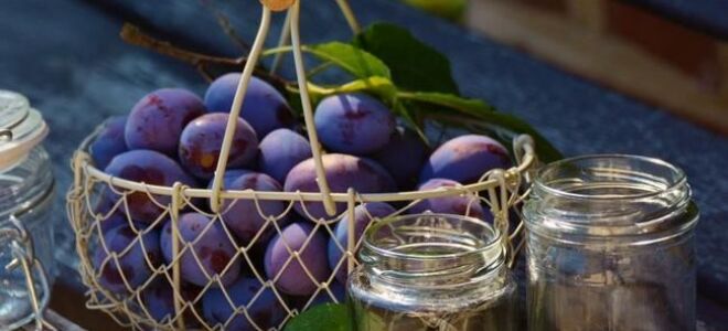 Сохраняет сливы. Какие свойства и витамины имеют сливы (ВИДЕО)