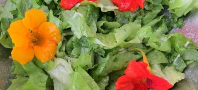 Съедобные цветы в польской кухне