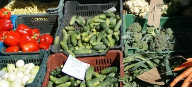 Здоровая кухня и сад: овощи, фрукты, черенки или то, что мы покупаем на рынке