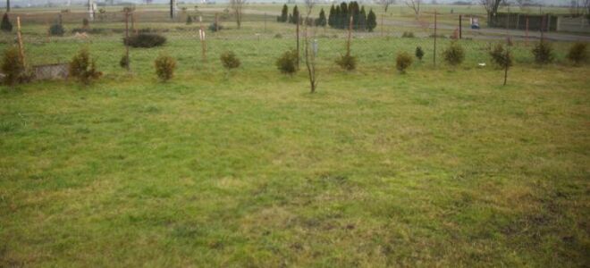 Мы выбираем строительный участок. Во-первых: дизайн дома или покупка участка