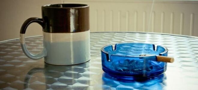 Уродливый запах сигарет и животных в доме — как избавиться от него