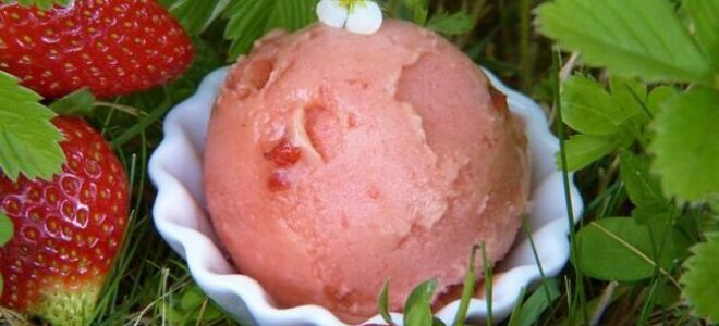 Рецепты блюд и десертов с клубникой в ​​главной роли