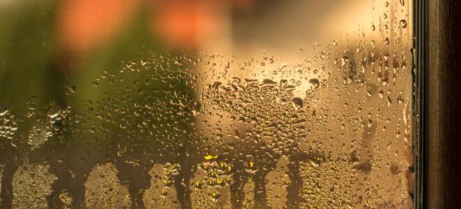 Сопряжение оконных стекол: как их предотвратить